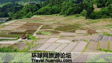 新标题（≤30字）：