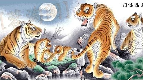 蓝十字1-0老虎大学：卡辛哈赛前豪言变现实